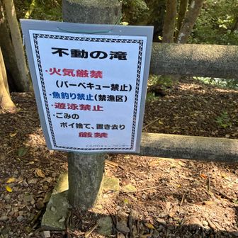 テレビで紹介されていた不動の滝