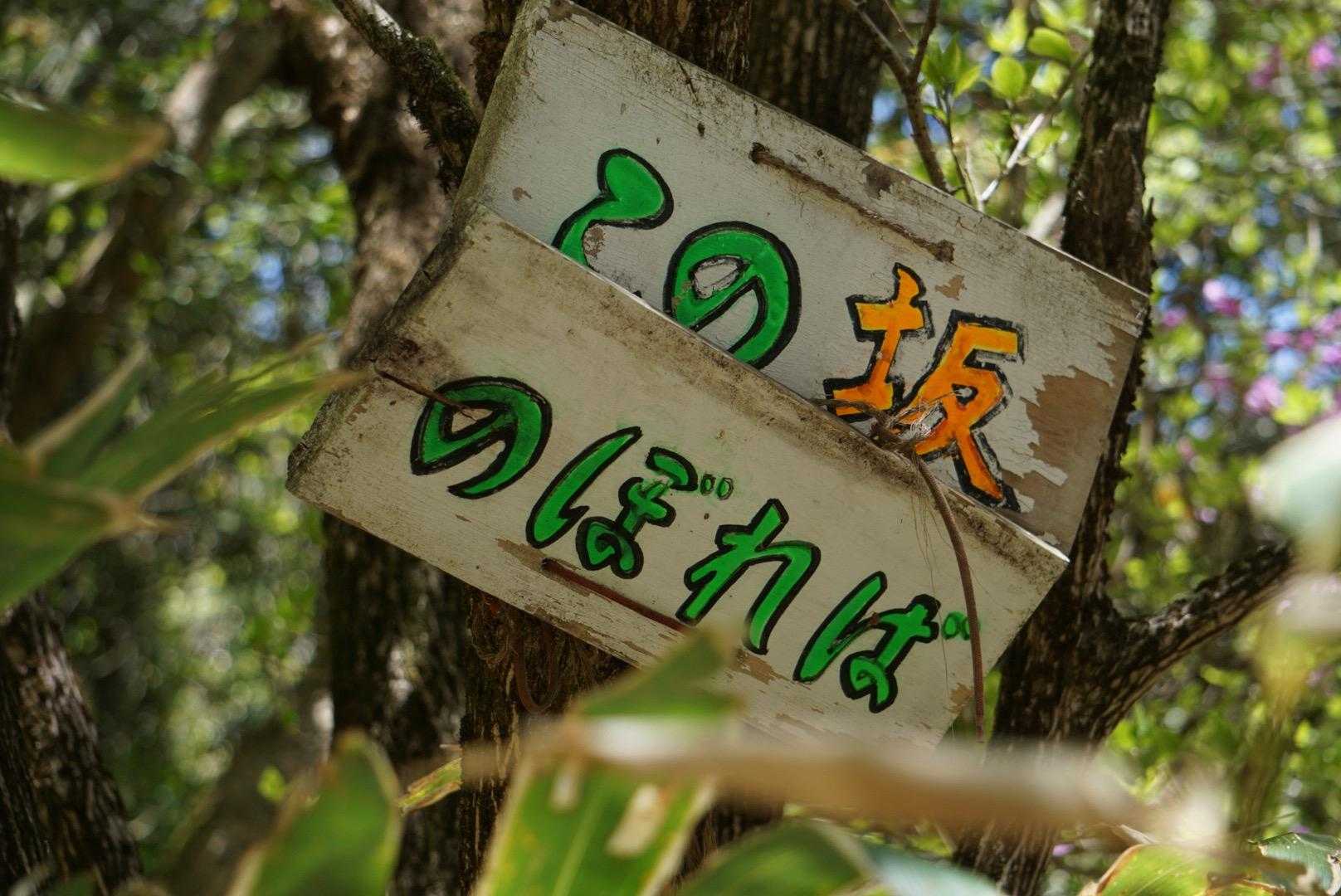 これ見えたら　ほっとする