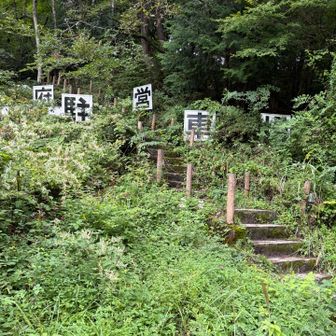 最後の試練、府営駐車場への登り返し、85段。
最後までご覧いただきありがとうございました😊