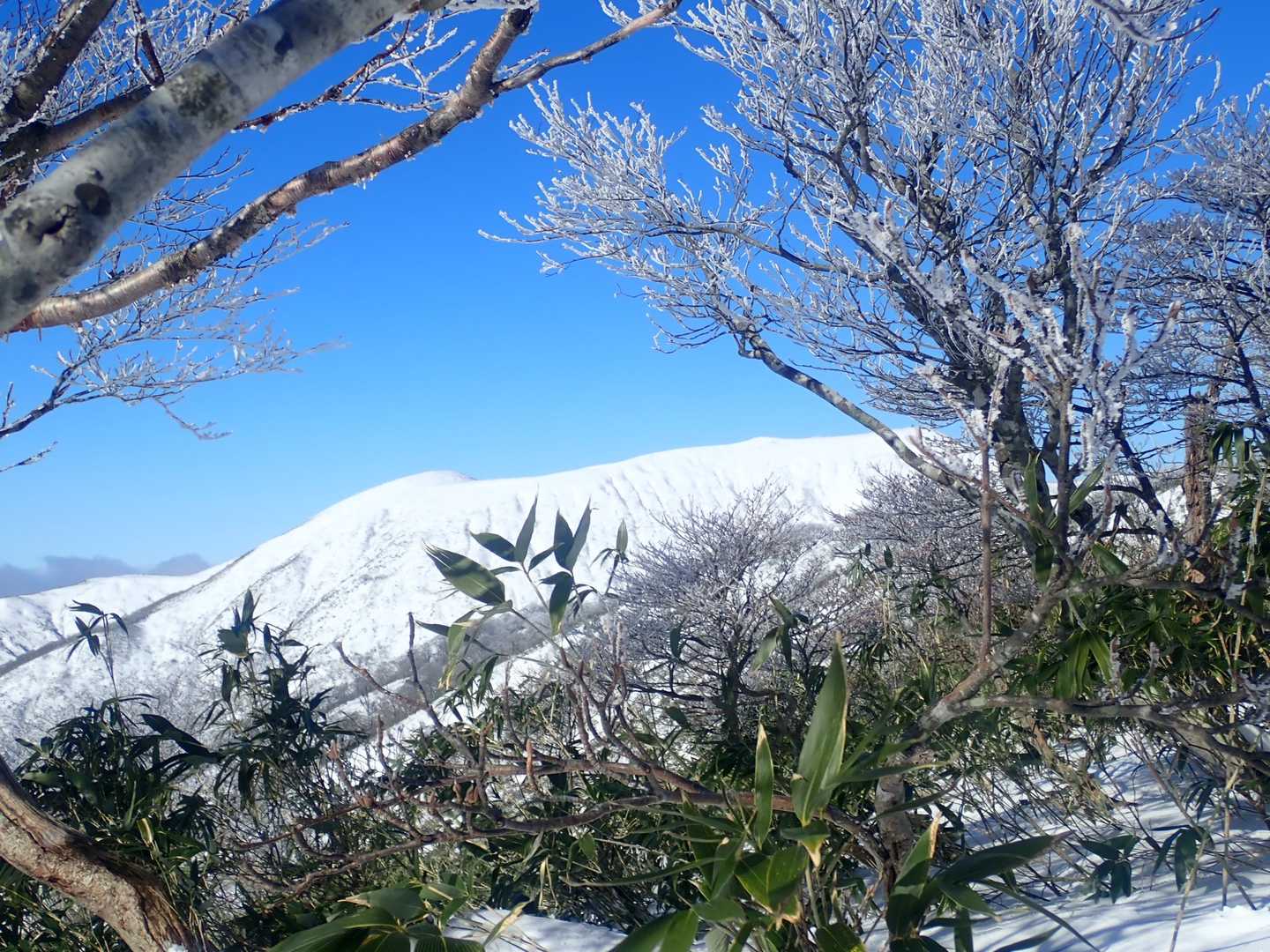 能郷白山が見えるけど
めっちゃ遠いやん〜
我々はそこに行けるのか？？