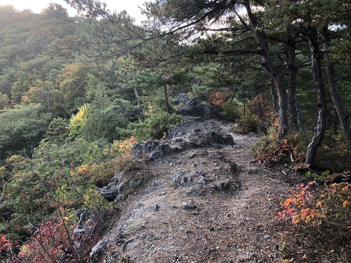 花の肩の尾根道。このあたりは、紅葉真っ盛りです。