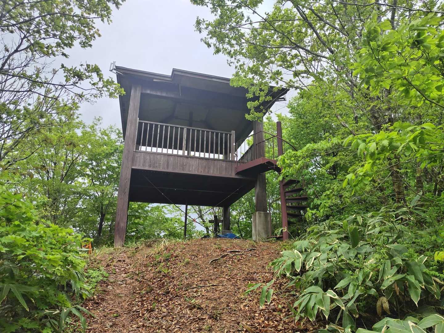 やった〜山頂🙌