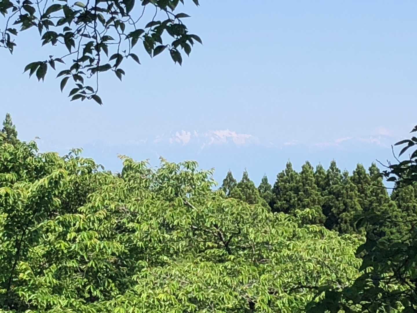 三千坊山 往復コースの写真