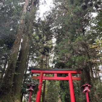 厳かな雰囲気⛩️