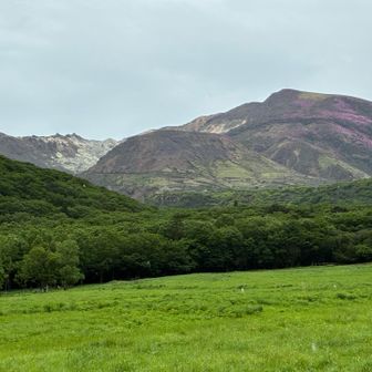…で、下山してきたら雨が上がって久住連山がよく見えた😍
登れたかなあ…なんて思いながら後ろ髪引かれる思いに駆られるのでありました😓