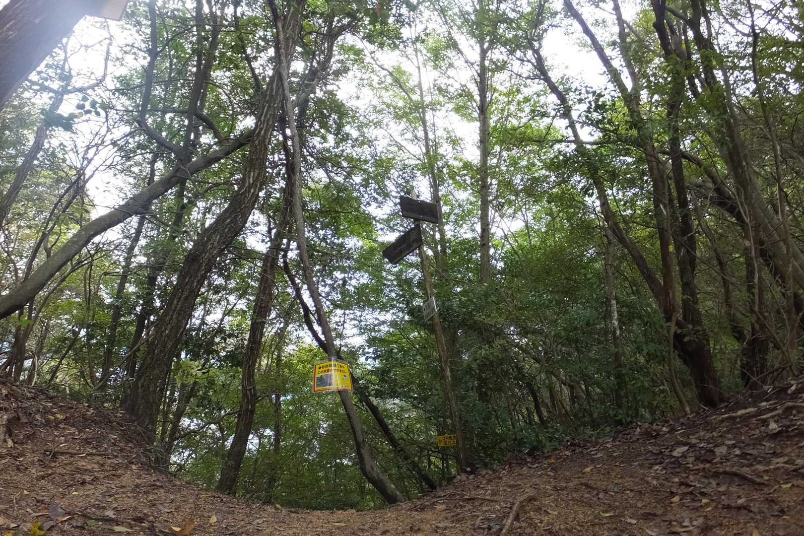 いつもの道に合流