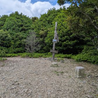 天井ヶ岳の山頂へ到着。
暑い、日陰で休む。
