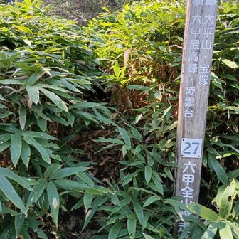 水無山頂にゃ