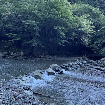 水量多め。