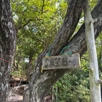 展望台着