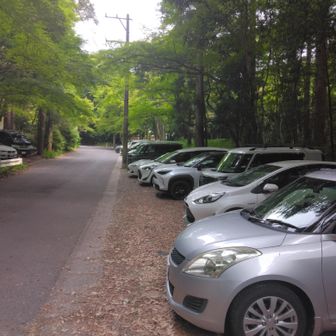 今日は登山口に近い駐車場が空いていました🚗