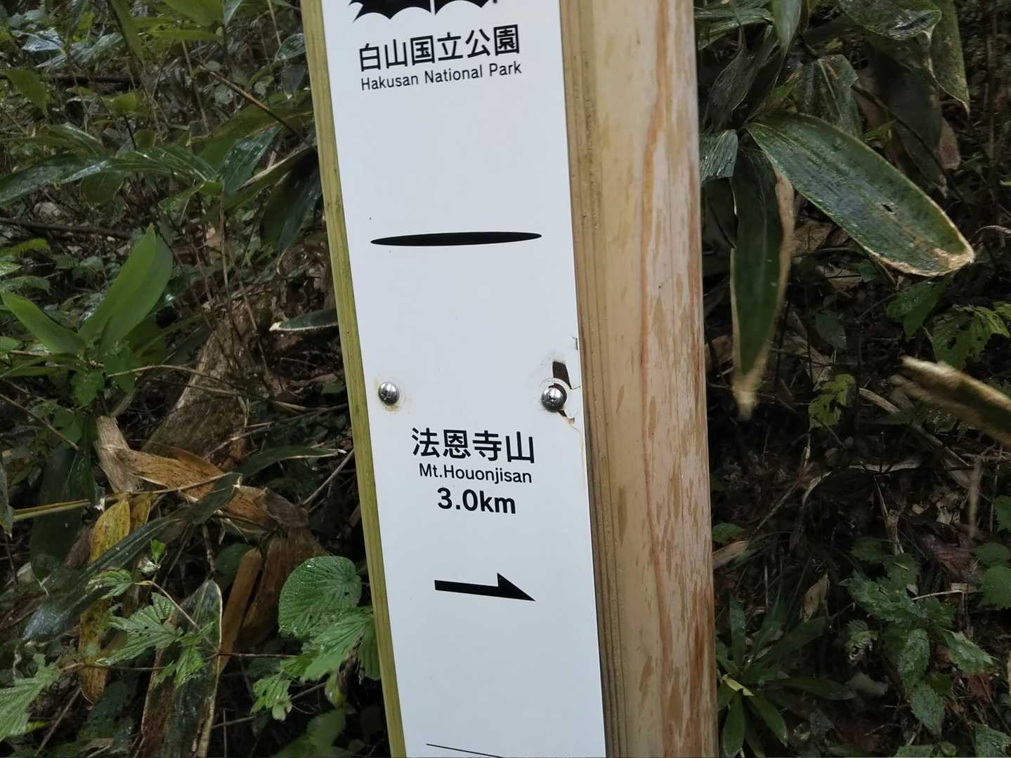 あと3キロなら行っちゃいましょう🎵昼までに帰ればセーフだと思うし😁
