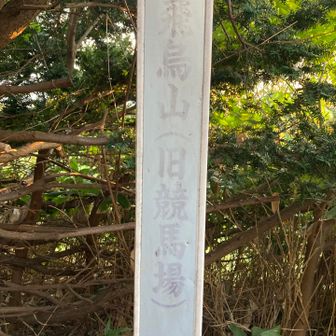 YAMAPをやって無かったら来なかったであろう場所①