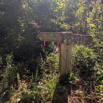 ここから青木鉱泉へ･･･一山越えるため、ここからが相当な急登💦
