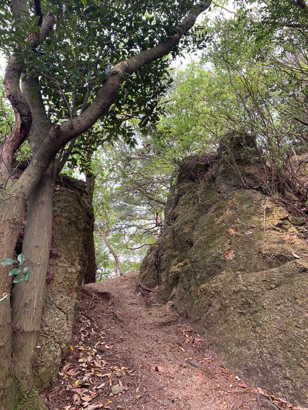 高雄山の写真