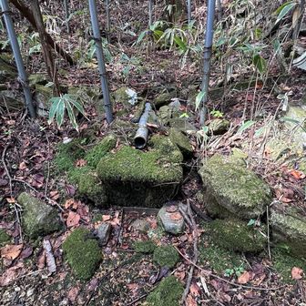 水場があるが枯れていました