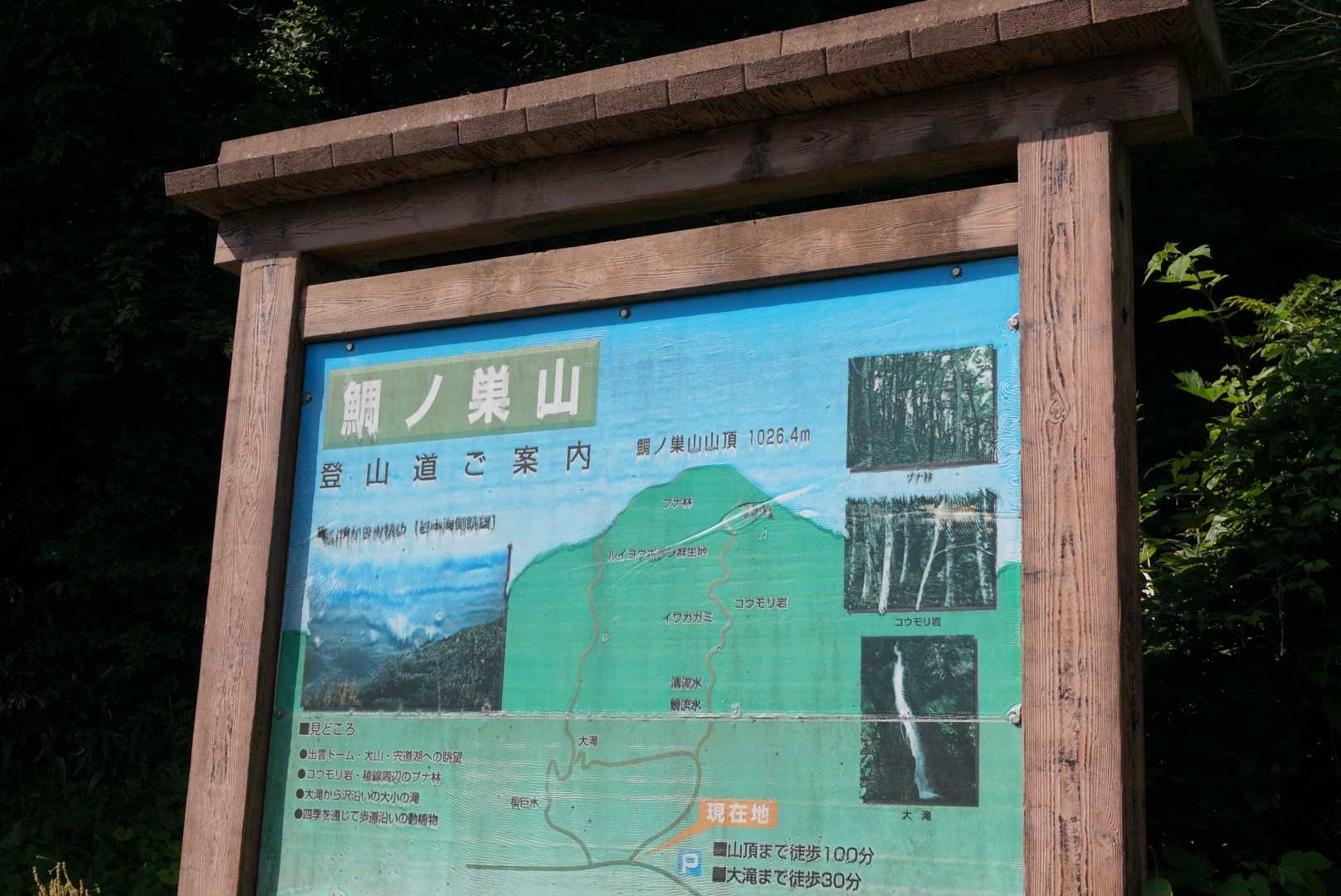 登山道に入ります😊