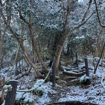 上り始めは雪山みたいな…