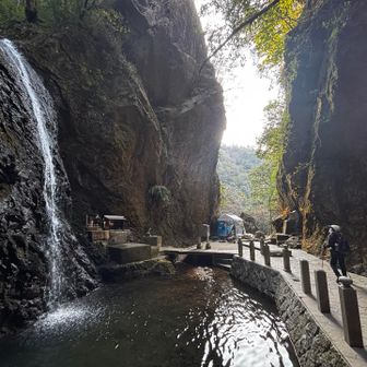 立派な滝です💦