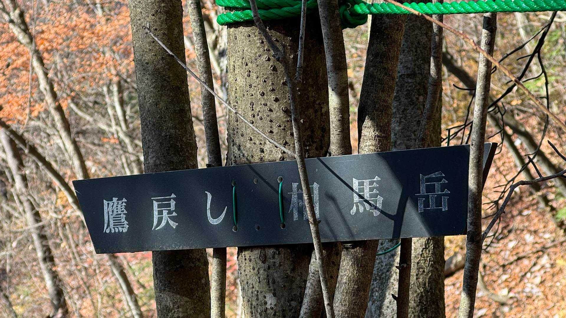 行けたら鷹戻しもいきたいなぁ