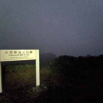 小雨なので🍙食べて待つ