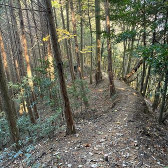奥の院から袴腰山へ