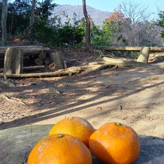 原岳でみかん🍊(登山口近くで買った🤗見た目はイマイチだけどこれがまた甘い👍)