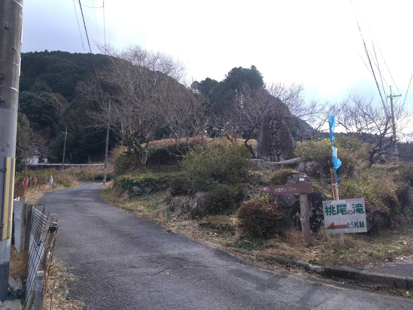大国見山 往復コースの写真
