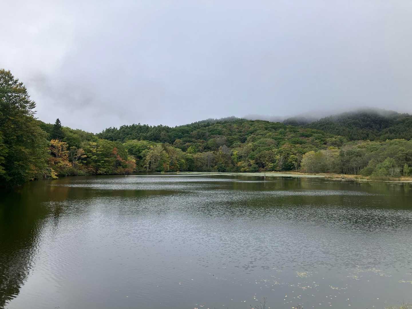 鏡池