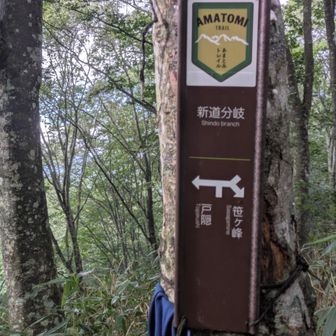 新道分岐点