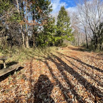 歩きやすく頂上は広くて居やすいです
