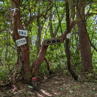 衣掛山にも到着です。