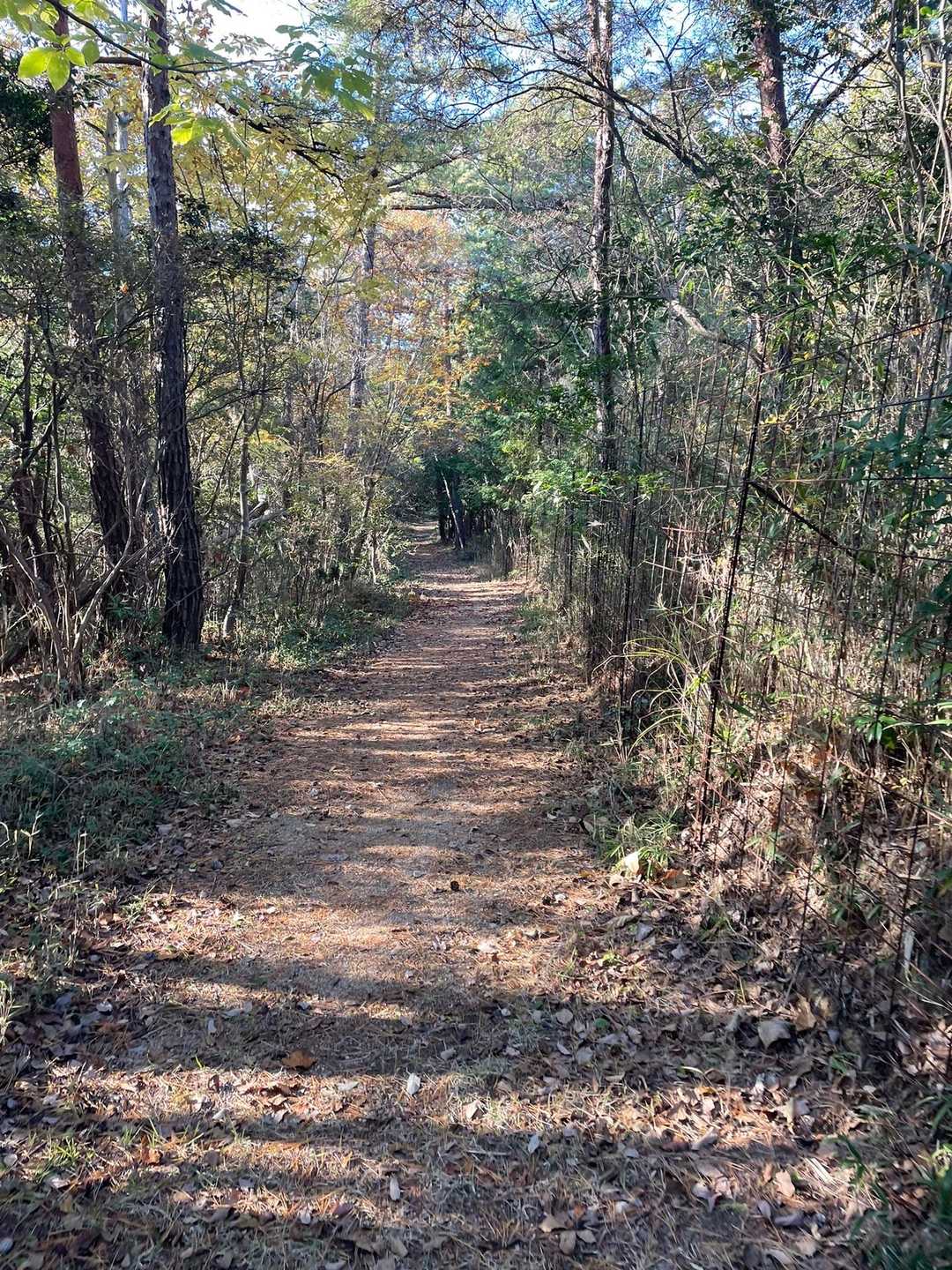 平坦な道