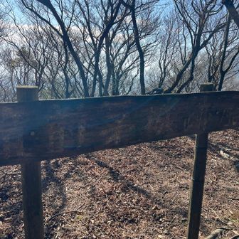 筑前茅城跡とうちゃこ