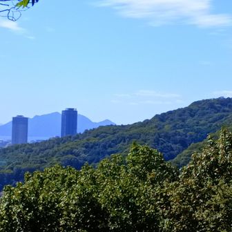 尾長山からタワーマンション宮島方面
