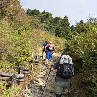 毛蟹さんは既に塔ノ岳に登られて降りてきたところでしたが、我々と再度山頂までご一緒登ることになりました☺️