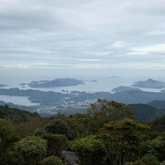 島🏝️が見えて嬉しい