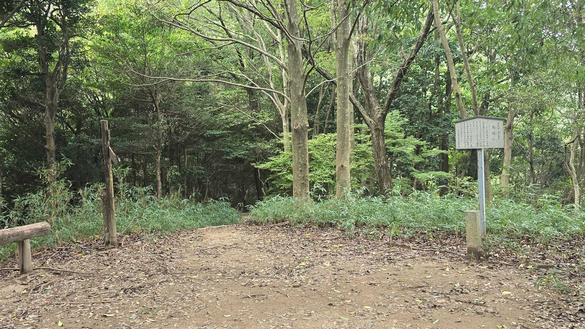 止まるとメマトイがスゴい💦
😎来ないけど、先に進みます🤭