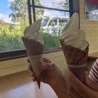 ソフトクリーム🍦￥600