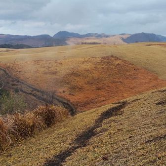 登って来た防火帯を下ります。