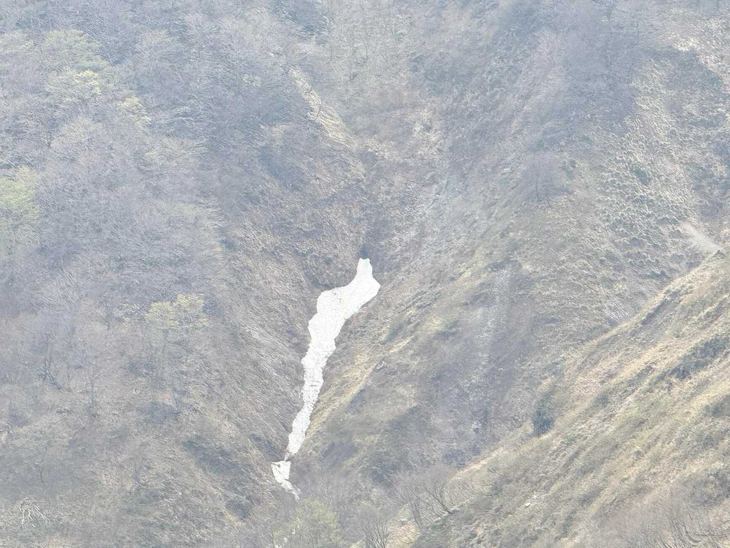 残雪も