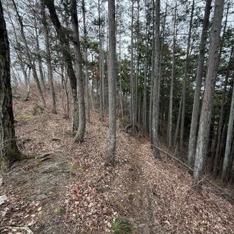 下山は右側からYAMAPの足跡みながら👣