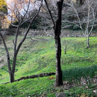 困ってしまいます...

21世紀に生きていてよかった