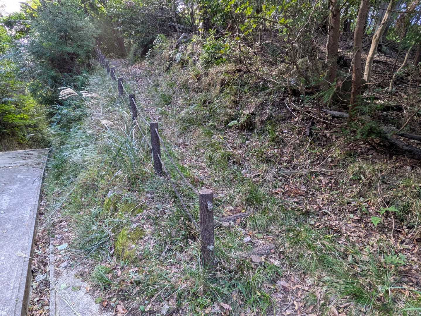 多少のアップダウンからいったん車道に出て、ここから本格的な登山道のようです。