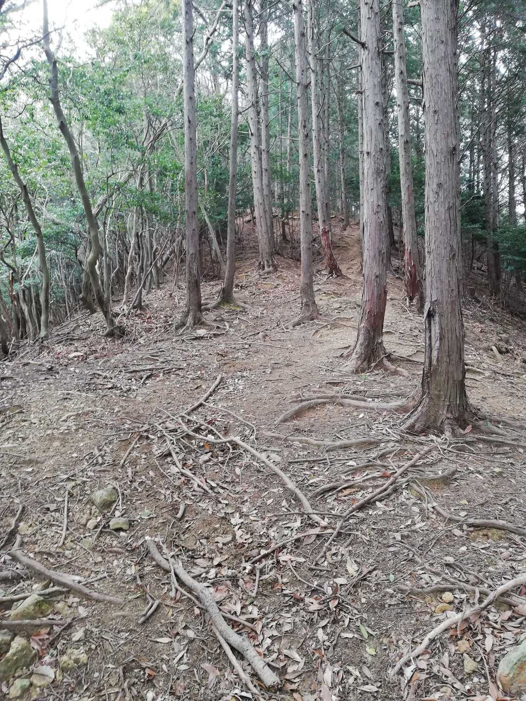 ずーっと登り坂💦
