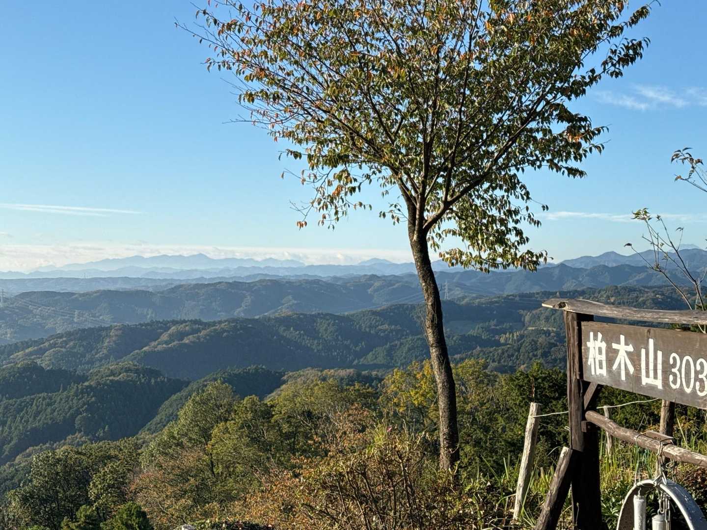茜台自然広場登山口-柏木山-赤根峠 往復コースの写真