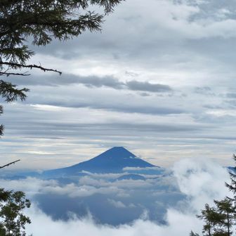 富士山登れは良かったなぁ。