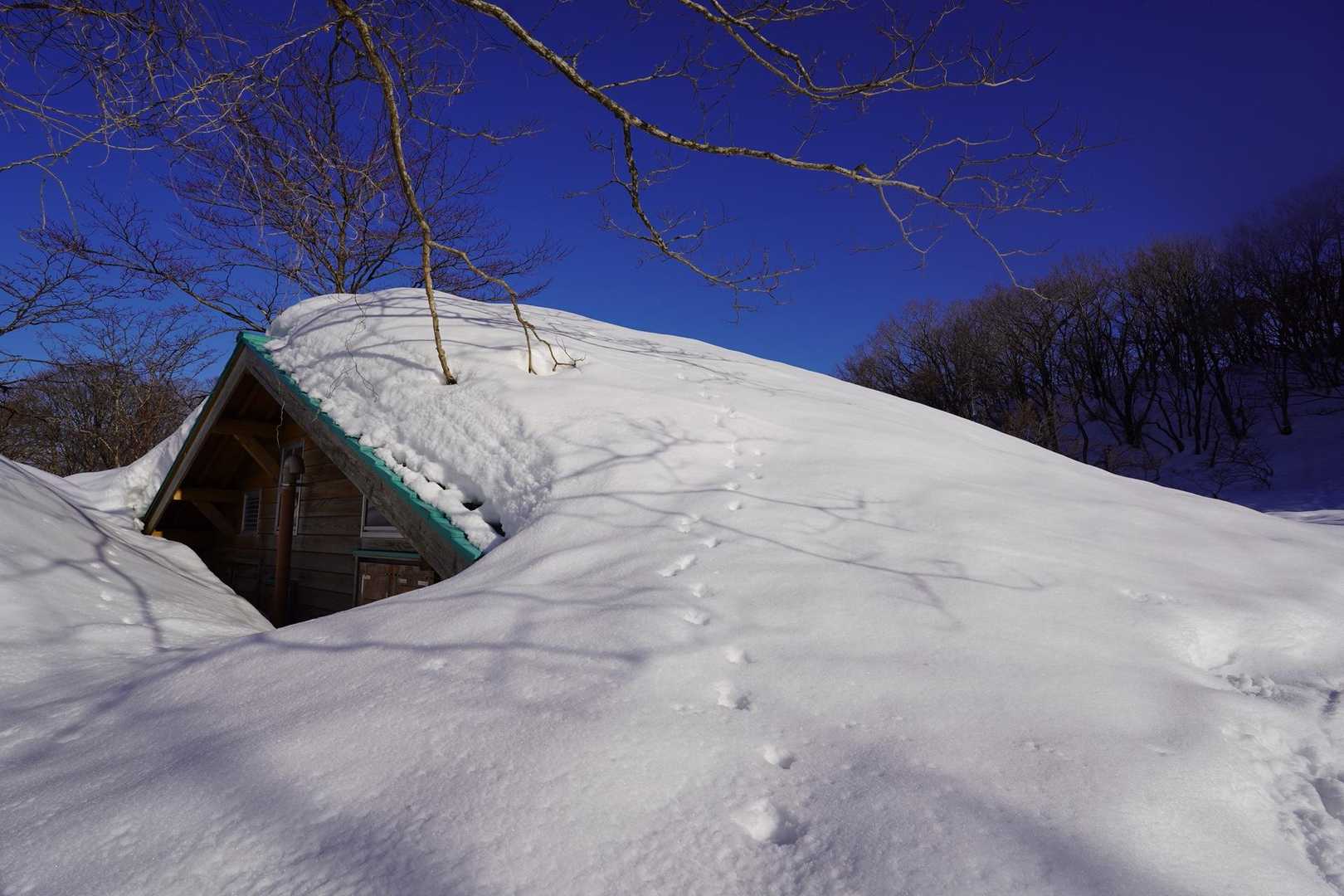 小屋の上で楽しんだものがいるね