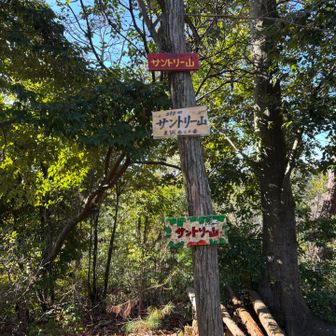 7座目 サントリー山