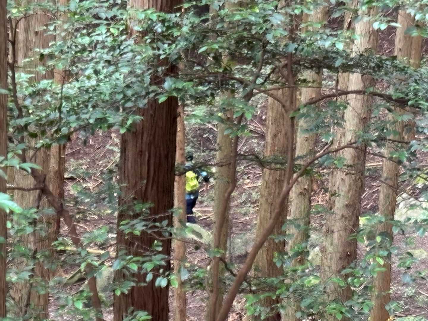 綺麗な熊鈴🔔逆に熊が寄ってしまうんじゃないかと思うくらいに。